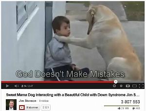 228 Sweet Mama Dog Interacting with a Beautiful Child with Down Syndrome Jim Stenson 